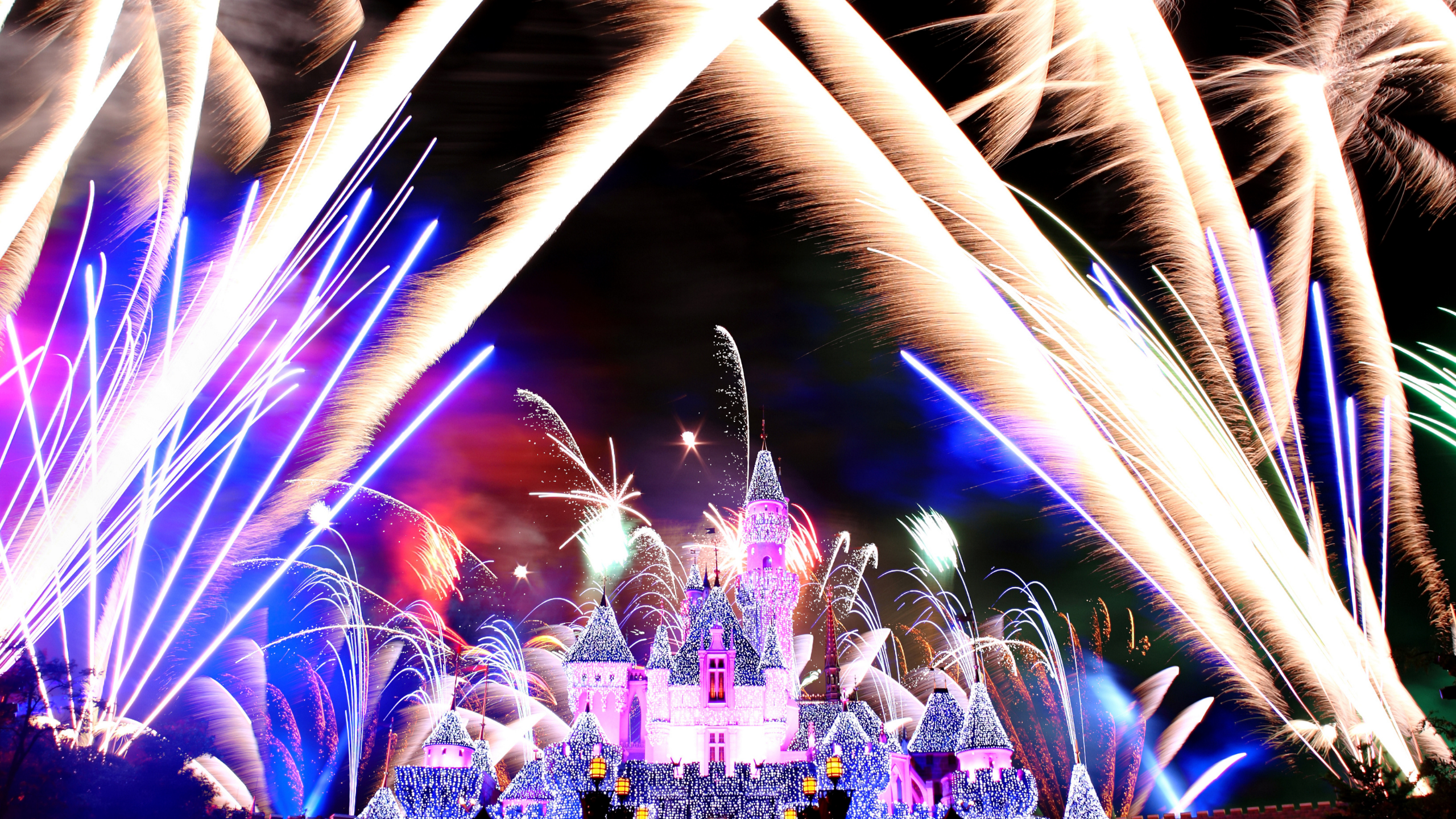 事例2: ディズニーリゾート - パーク全体でアニバーサリーイベントの開催